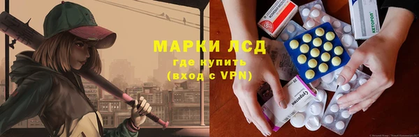 ECSTASY Кукмор