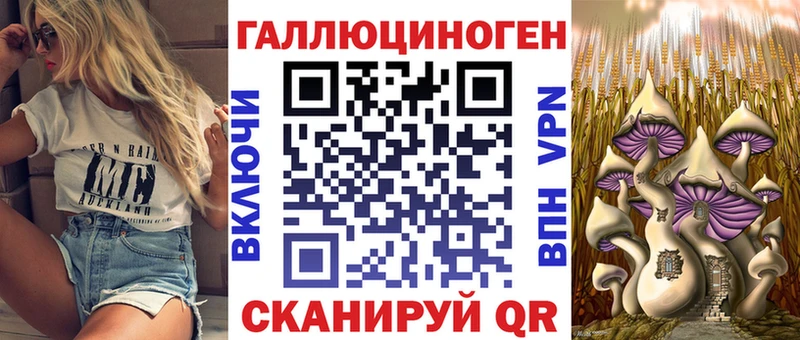 купить наркотики цена  Верхотурье  Галлюциногенные грибы Psilocybine cubensis 
